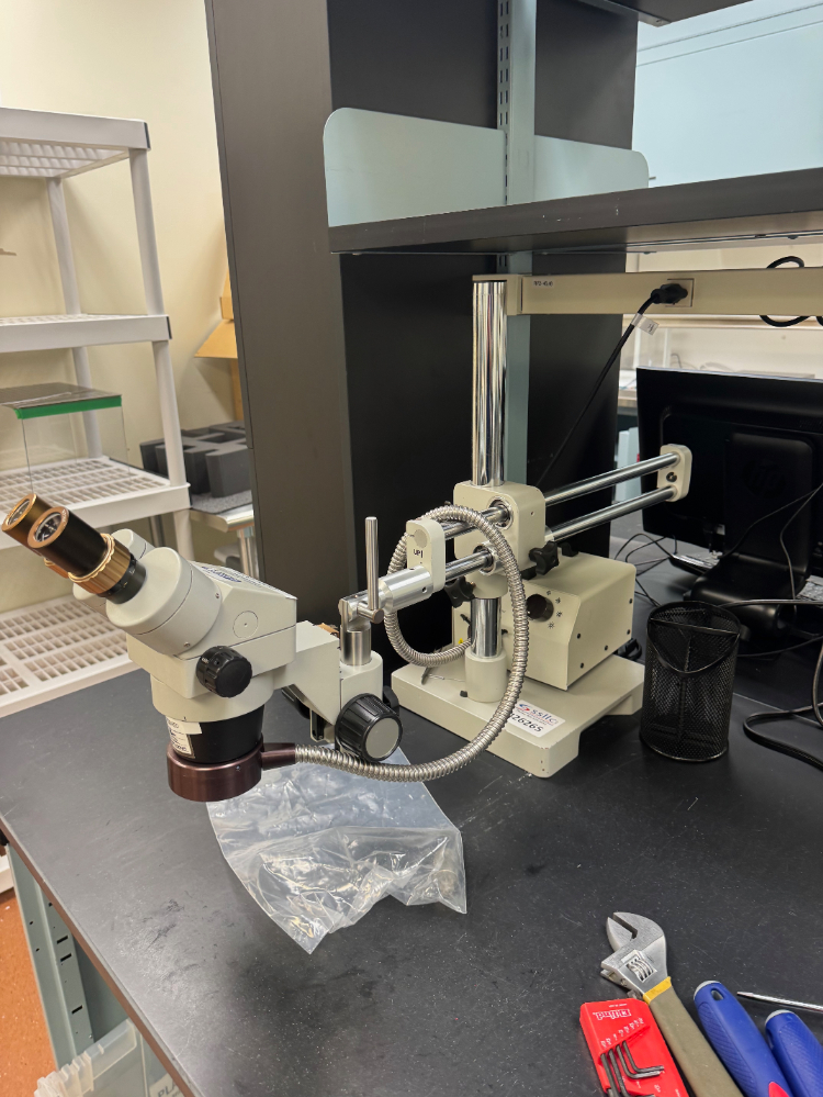 Image of Luxo Stereo Microscope
